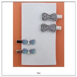 🆕💇🏻♀️AUCTION PRICE👩🏻⚖️ Pretty Hair Clips in Silver